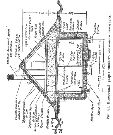 Packet21.gif