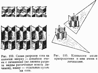 Packet230.gif