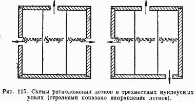 Packet236.gif